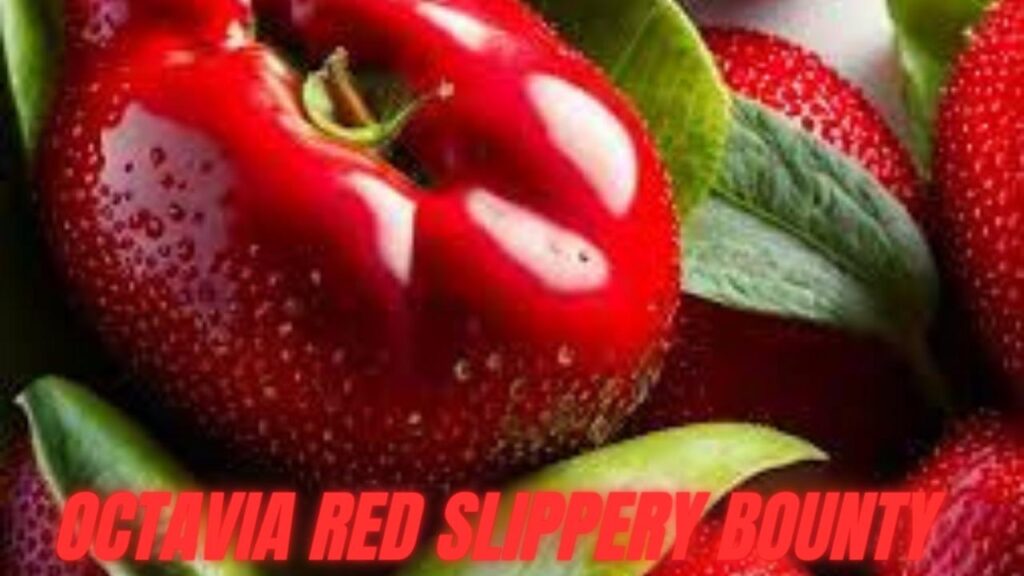 Octavia Red Slippery Bounty