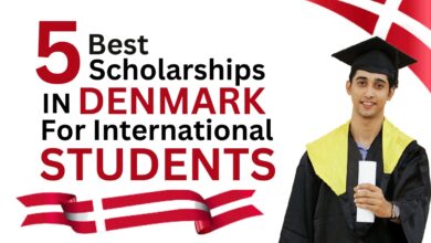 Denmark Best Scholarships