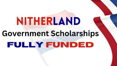 NETHERLAND SCHOLARSHIPS